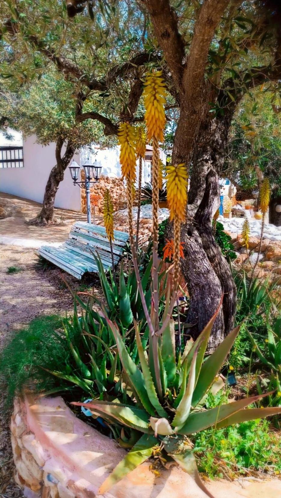 Flaire Mar Βίλα Ταραγόνα Εξωτερικό φωτογραφία